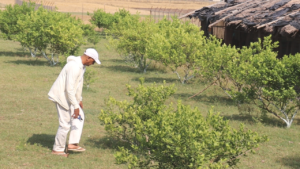 कागती खेतीमा संघर्ष र सम्भावना टेकराज भण्डारीको कथा